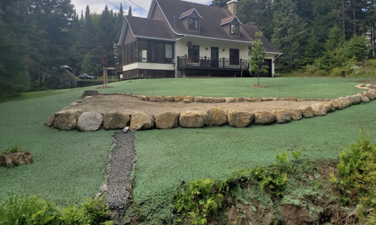 Hydro-ensemencement  à Amherst sur un vaste terrain résidentiel, avec mulch vert couvrant le sol pour une croissance rapide du gazon.
