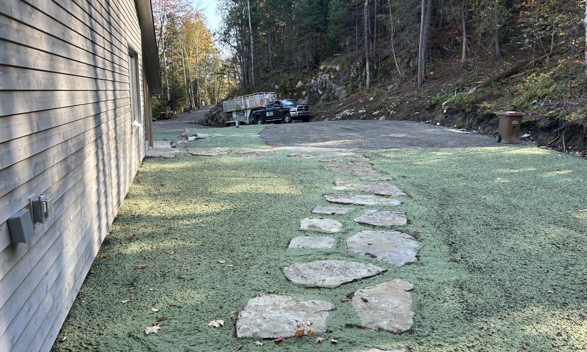 Hydro-ensemencement  à Rivière-Rouge dans une cour arrière avec sentier en pierres naturelles et application uniforme pour créer une pelouse durable.