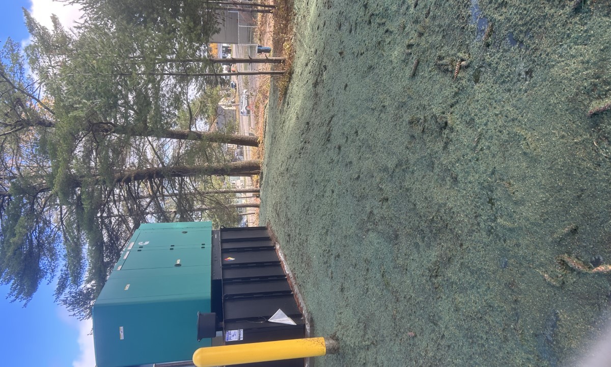Hydro-ensemencement  à Saint-Jérôme autour d’une installation industrielle, avec mulch vert appliqué pour stabiliser le sol et favoriser la germination.